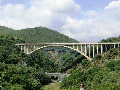 Portigliolo Viaduct : with the Arenon II Viaduct visible in the back