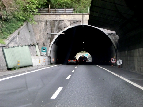 Rexello Tunnel western portal