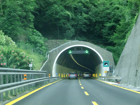 Rocca Carpanea Tunnel eastern portal