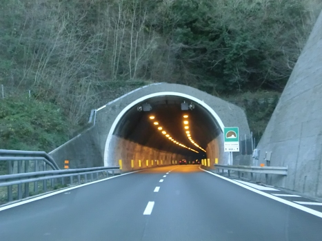Rocca Carpanea Tunnel eastern portal