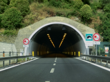 Siestro Tunnel eastern portal