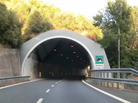 Suseneo Tunnel western portal