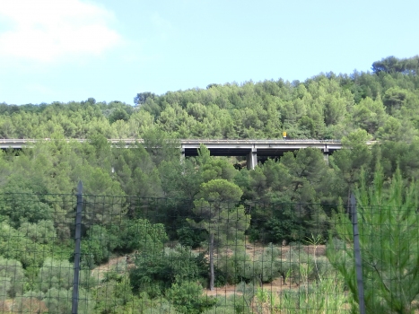 Chiappa Viaduct