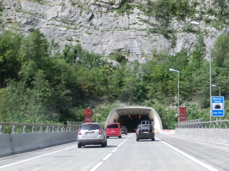 Ofenauer Tunnel southern portal