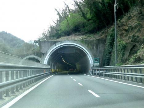 Monte Quiesa Tunnel eastern portals