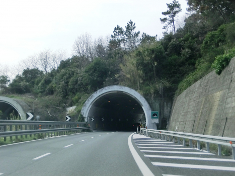 Pieruccia Tunnel eastern portal