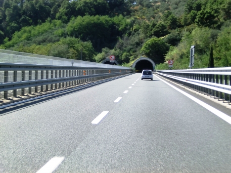 Bozzano Tunnel eastern portals
