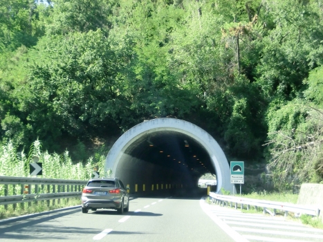 Massarosa Tunnel southern portal