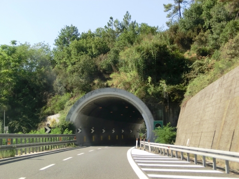 Pieruccia Tunnel southern portal