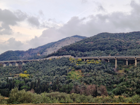 Hangbrücke Villa Spinola