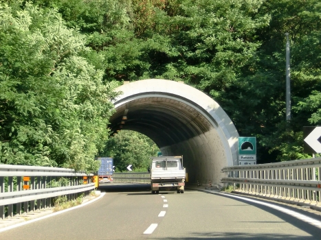 Pieruccia Tunnel western portal