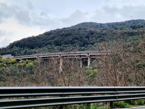 Hangbrücke Villa Spinola