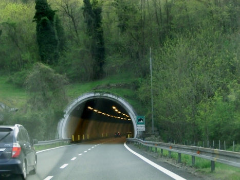 Bordigona Tunnel eastern portal