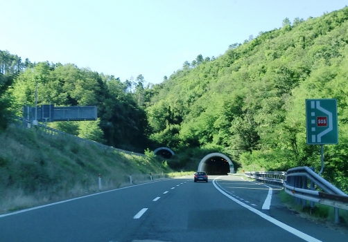 Chiappeti Tunnel eastern portals