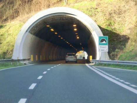 Chiappeti Tunnel western portal