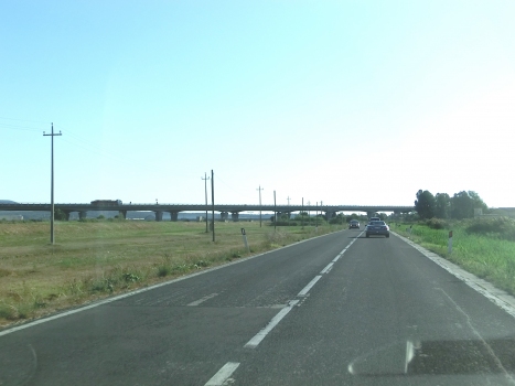 Coltano Viaduct