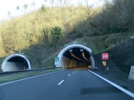 Costa Roverano Tunnel eastern portals