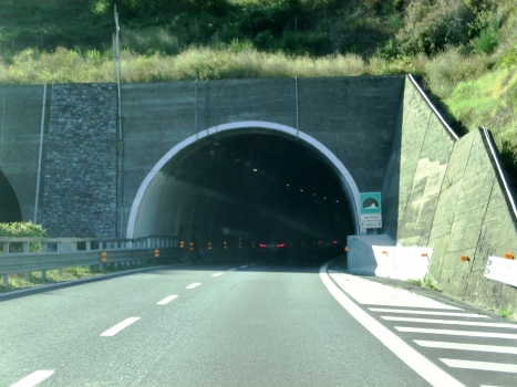 Del Fico Tunnel eastern portal