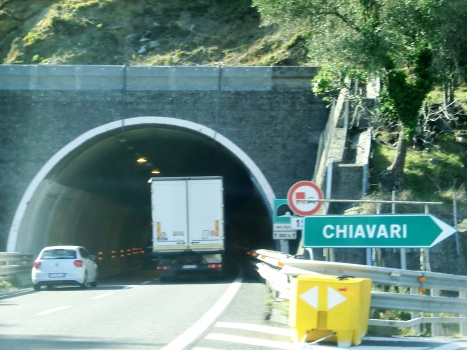 Del Forno Tunnel eastern portal