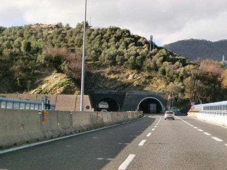 Del Forno Tunnel western portals