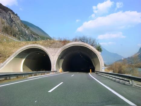 Fallender Bach Tunnel western portals