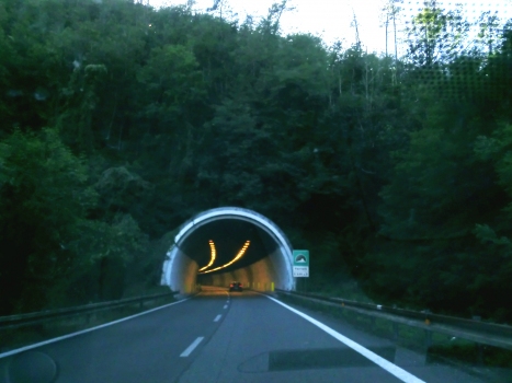 Ferriere Tunnel eastern portal