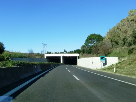 Malandrone Tunnel southern portals