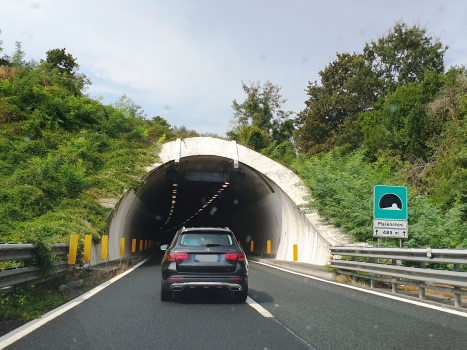 Tunnel de Malenchini