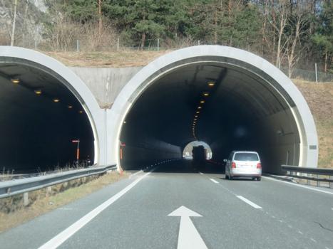 Motz-Schlenzenmure Tunnel western portals