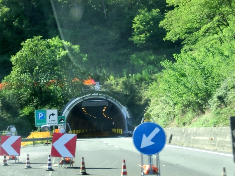 Nocentini Tunnel southern portal