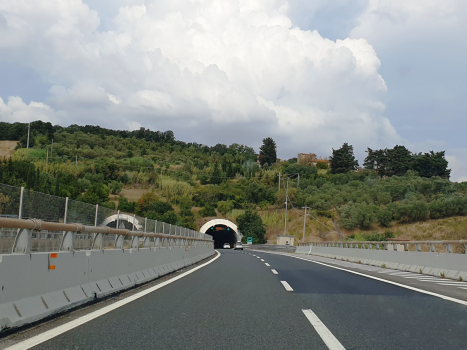 Pipistrello Tunnel