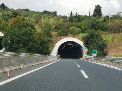 Pipistrello Tunnel