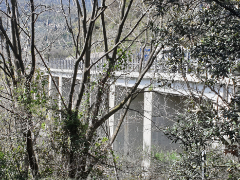 Recco Semi-viaduct