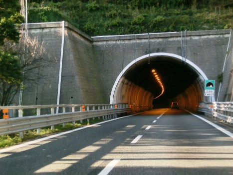 Ri Alto Tunnel western portal