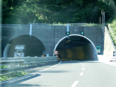 Santa Giulia Tunnel eastern portals