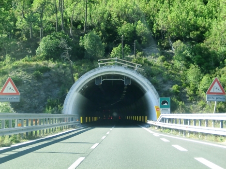 Schiena di Sciona Tunnel eastern portal