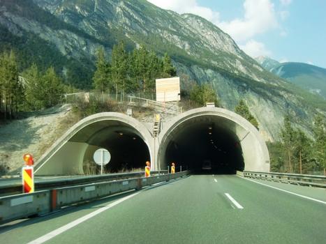 Senftenberg Tunnel western portals