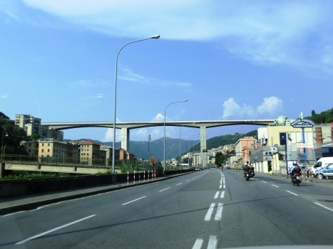 Bisagno Viaduct