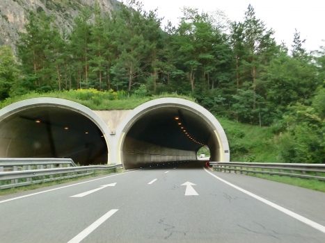 Mötz-Kirchenriese Tunnel western portals
