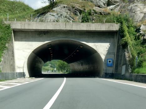 Cresta Tunnel southern portal
