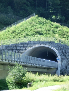 Tunnel San Fedele
