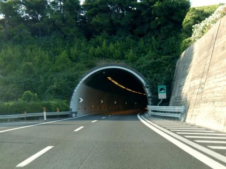 Colle Pino Tunnel northern portal
