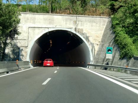 Montedomini Tunnel