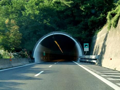 Pianacce Tunnel northern portal
