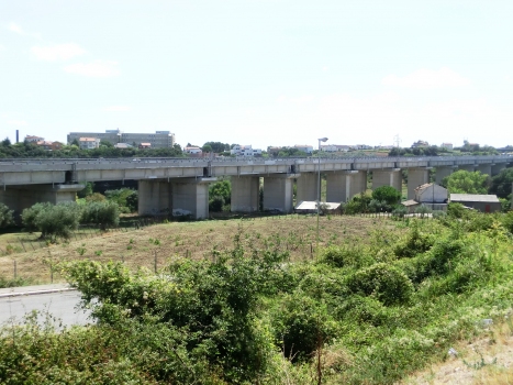 Riovivo Viaduct