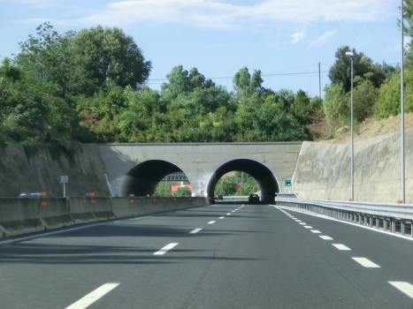 Villanova Tunnel southern portals