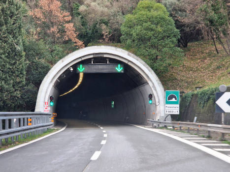 Tunnel de Fresonara