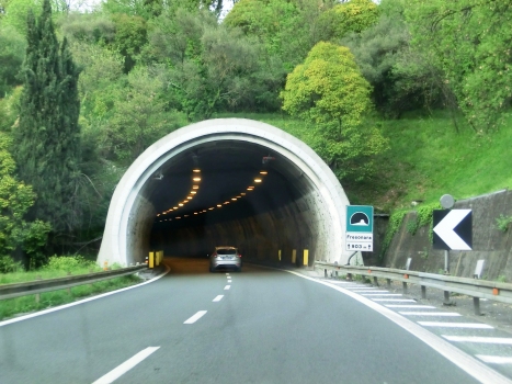 Fresonara Tunnel southern portal