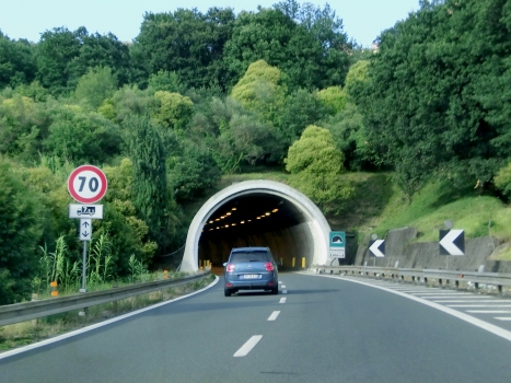 Fresonara Tunnel southern portal