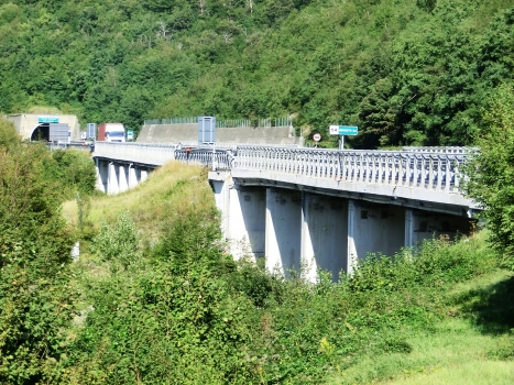 La Costa Viaduct (on the left) and Rio Madoni Viaduct